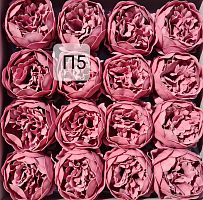  Пионы. П5 Пудра. Упаковка 16 шт. Размер цветка 8*8см.