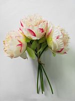 Пионы бело- красные, букет из 5 цветов.