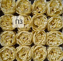  Пионы. П3 Бежевый. Упаковка 16 шт. Размер цветка 8*8см.