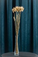 сухоцвет лагурус натуральный 32шт