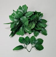 Листья розы шестилистник. Цвет зелёный.  Упаковка 1 кг