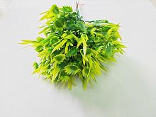 Флористическая трава пучок №3.