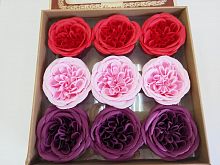 Цветы Пионовидная Роза