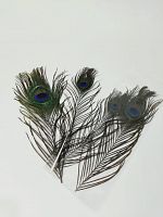 Перья Павлина.