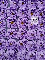 Хризантема Х2, 50 шт