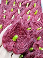 Антуриум уп-50 шт, Бордовый