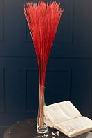 сухоцвет Аурея красная