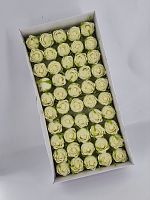 Роза бутон 3 см. Цвет айвори