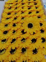 Гербера Желтая, уп-50 шт диаметр 8 см