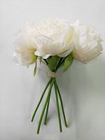 Пионы белые, букет из 5 цветов.