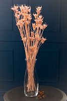 сухоцвет нигелла розовая 50гр