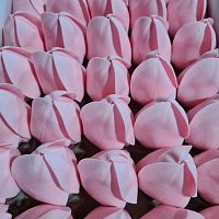 Тюльпаны. Цвет Светло розовый. Размер цветка 6*4 см 