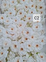 Сакура С2. Упаковка 50 шт.