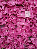   Гортензия средняя . Г8.