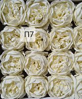  Пионы. П7 Кремовый. Упаковка 16 шт. Размер цветка 8*8см.