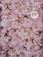  Гортензия средняя . Г7 светло розовая