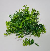 Травка весовая зелёная. Номер 3.