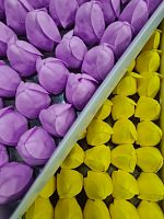 Набор  тюльпанов. Цвет сиреневый/желтый. Упаковка 50 шт (25/25).