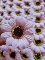 Ромашка малая. Цвет розовый. Диаметр цветка 5 см. Упаковка 50 шт. Вес 260 гр.