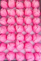 Тюльпаны. Цвет Розовый. Размер цветка 6*4 см